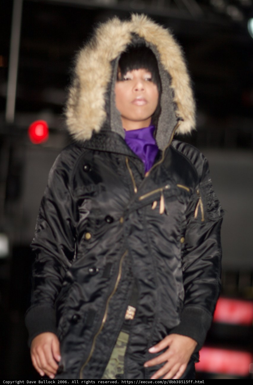 Fur Coated Fashionista