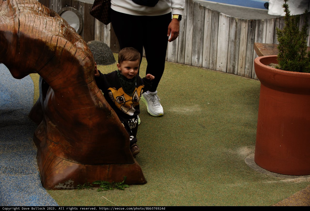 Whimsical Moments at the SF Zoo