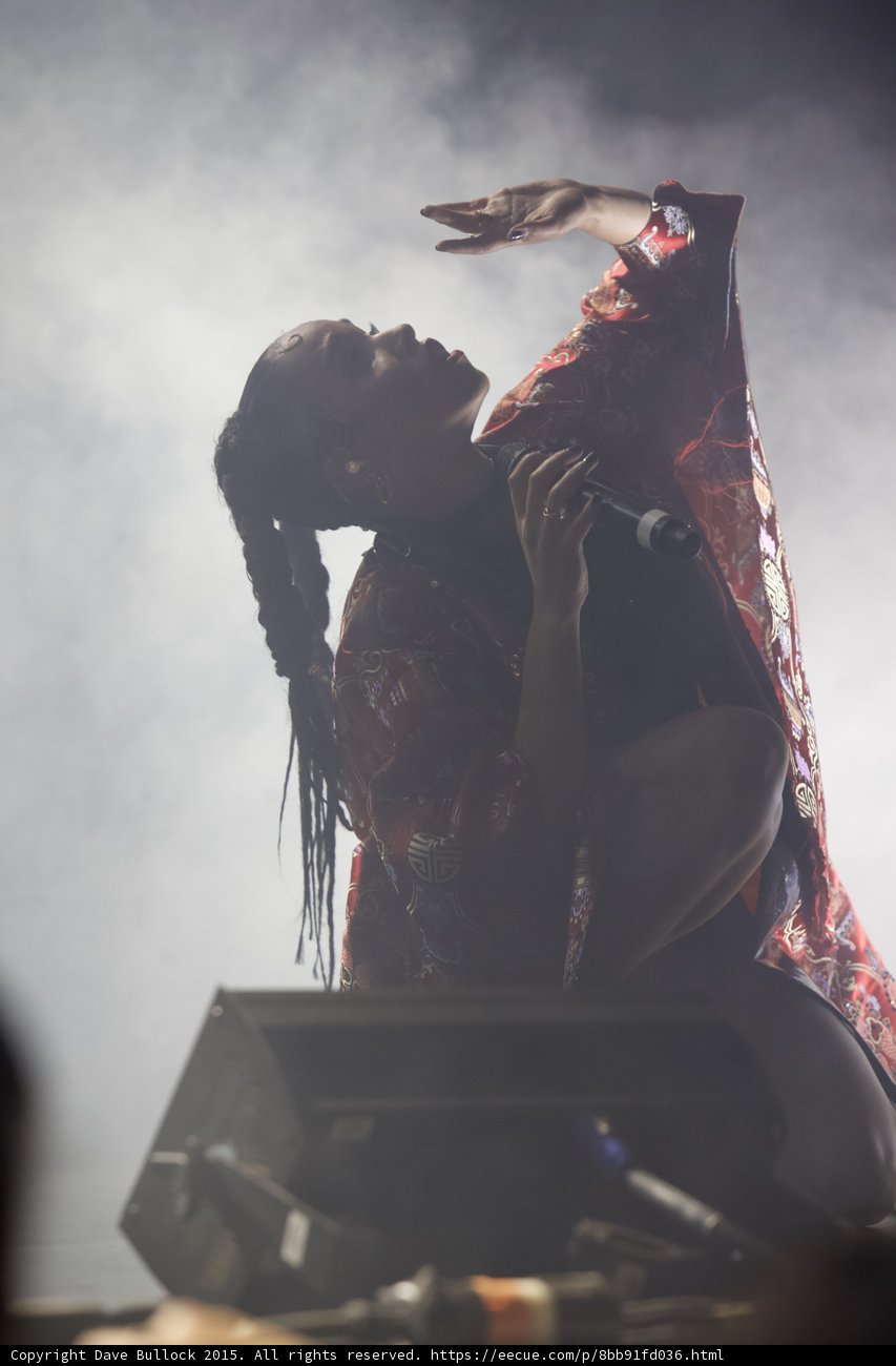 FKA twigs Beautiful Silhouette Looking Up Arm Raised Extended Hand Rings Red Brocade Kimono Gold Patterns Braided Ponytails Heavy Haze