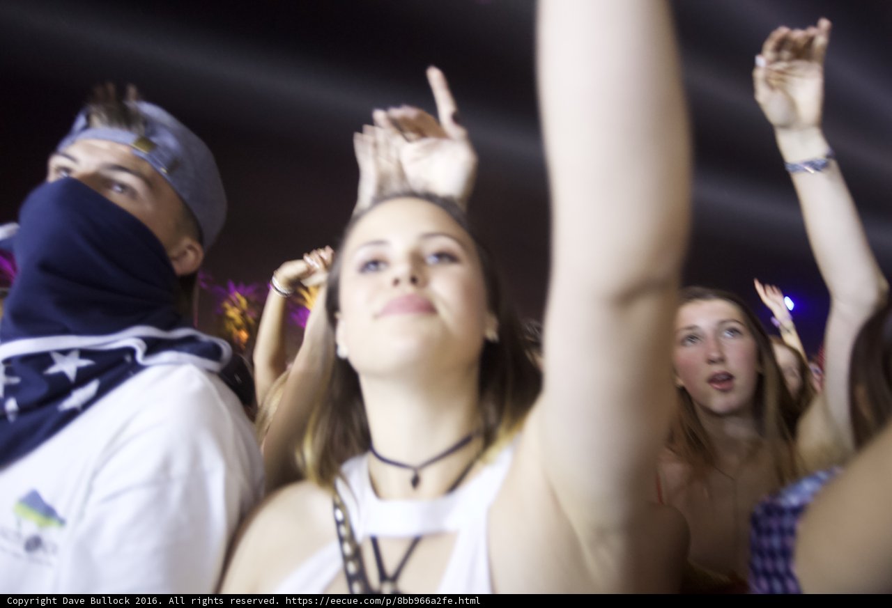 Hands Up at Coachella