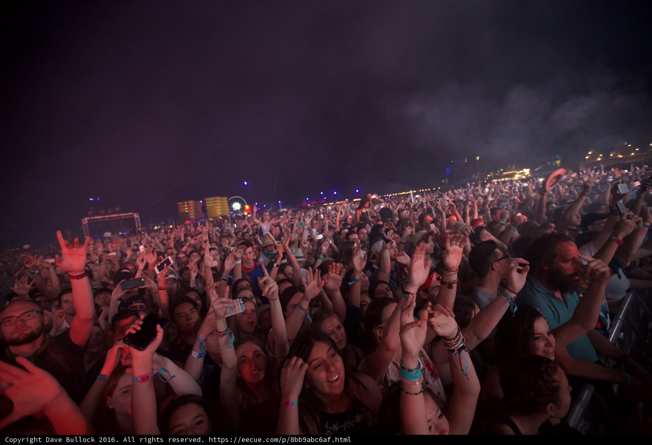 High Energy Concert Crowd
