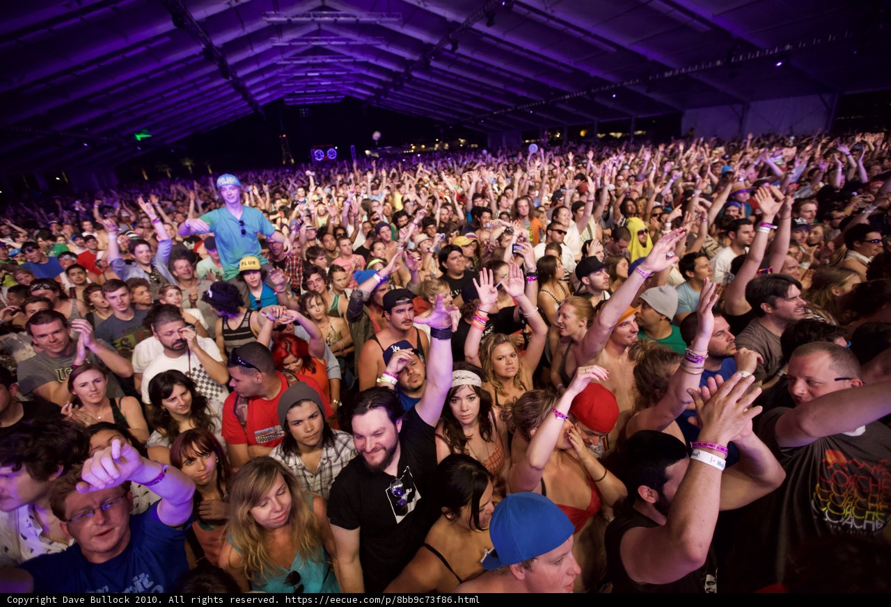 Coachella Crowd in Ecstasy