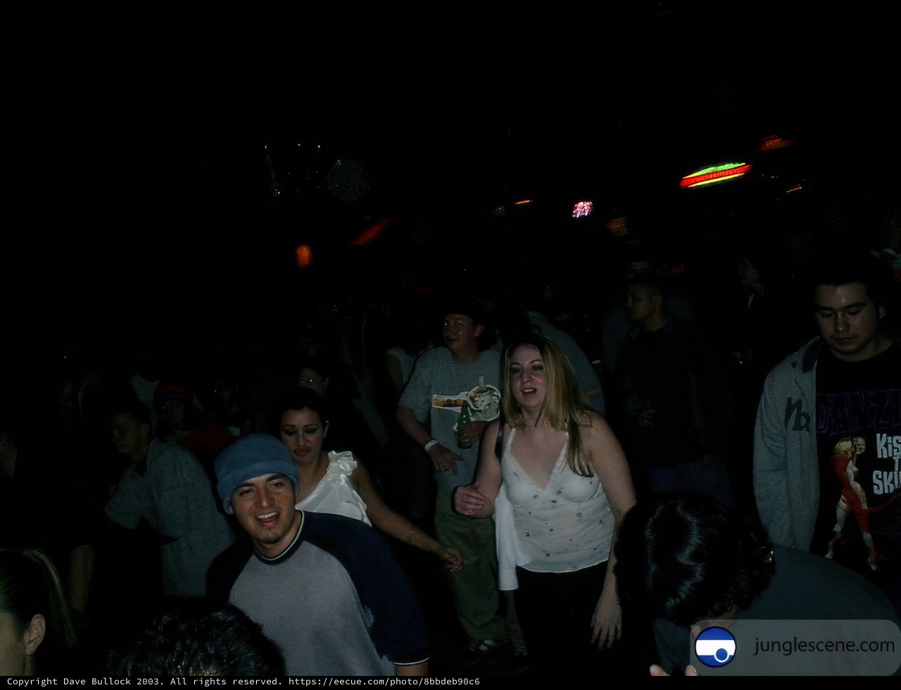Nightlife in the Urban Jungle