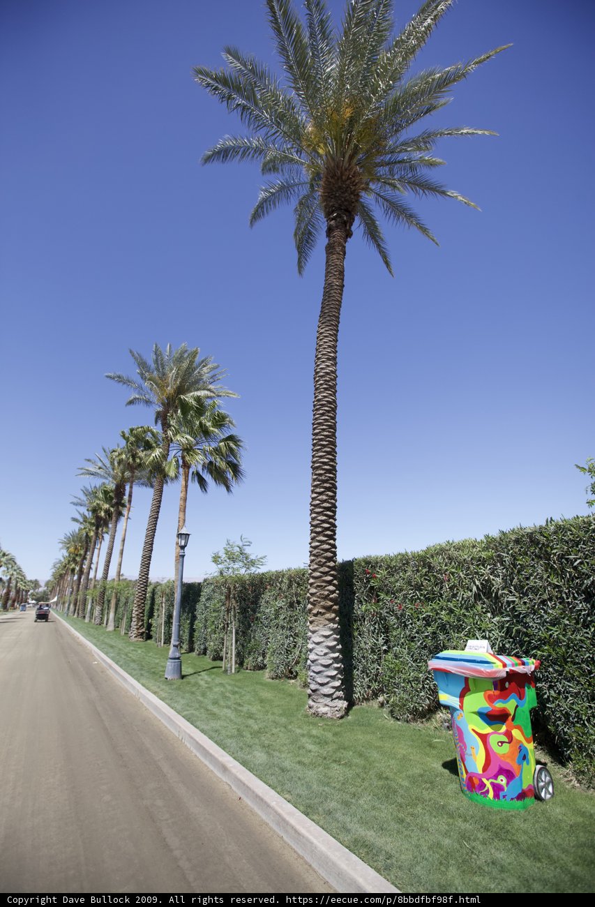 Colorful Trash Can in a Summer Street Scene