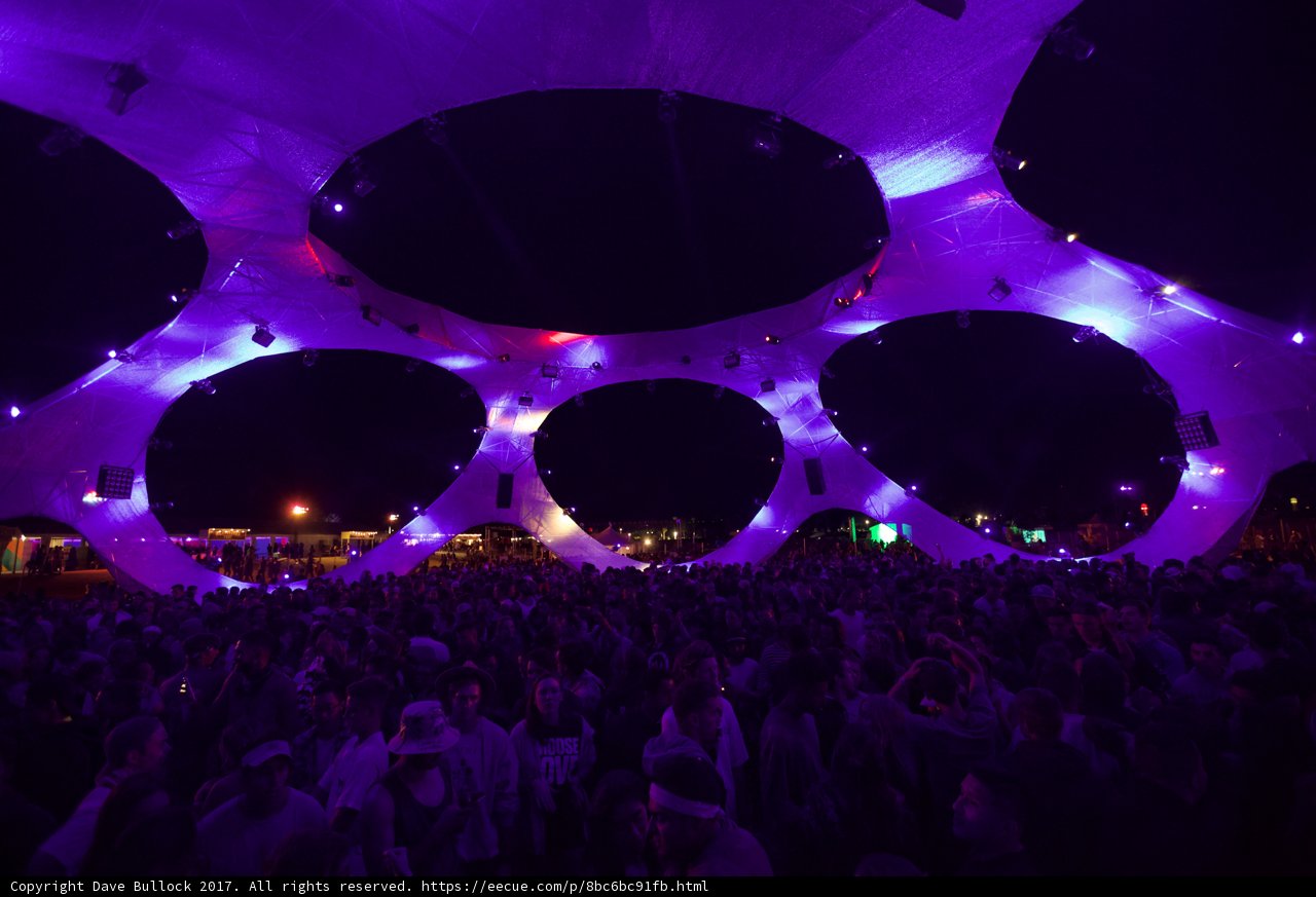 Purple Tent Party