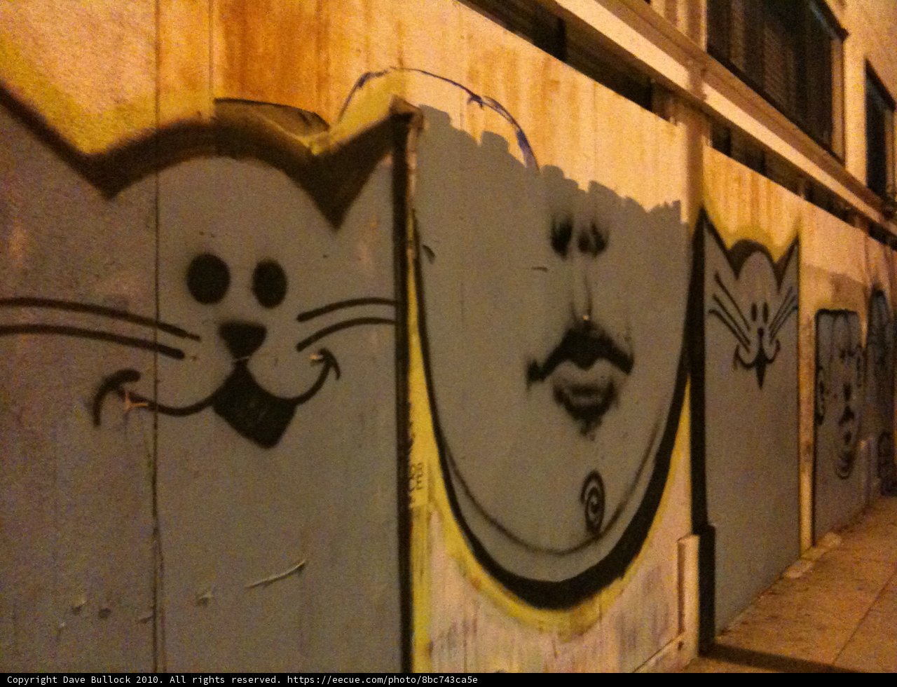 Cat Graffiti on LA Wall