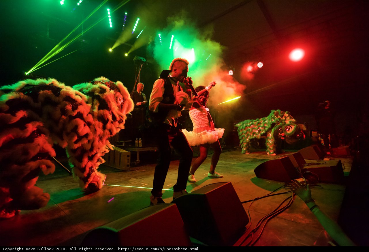 Rocking Out Under the Lights