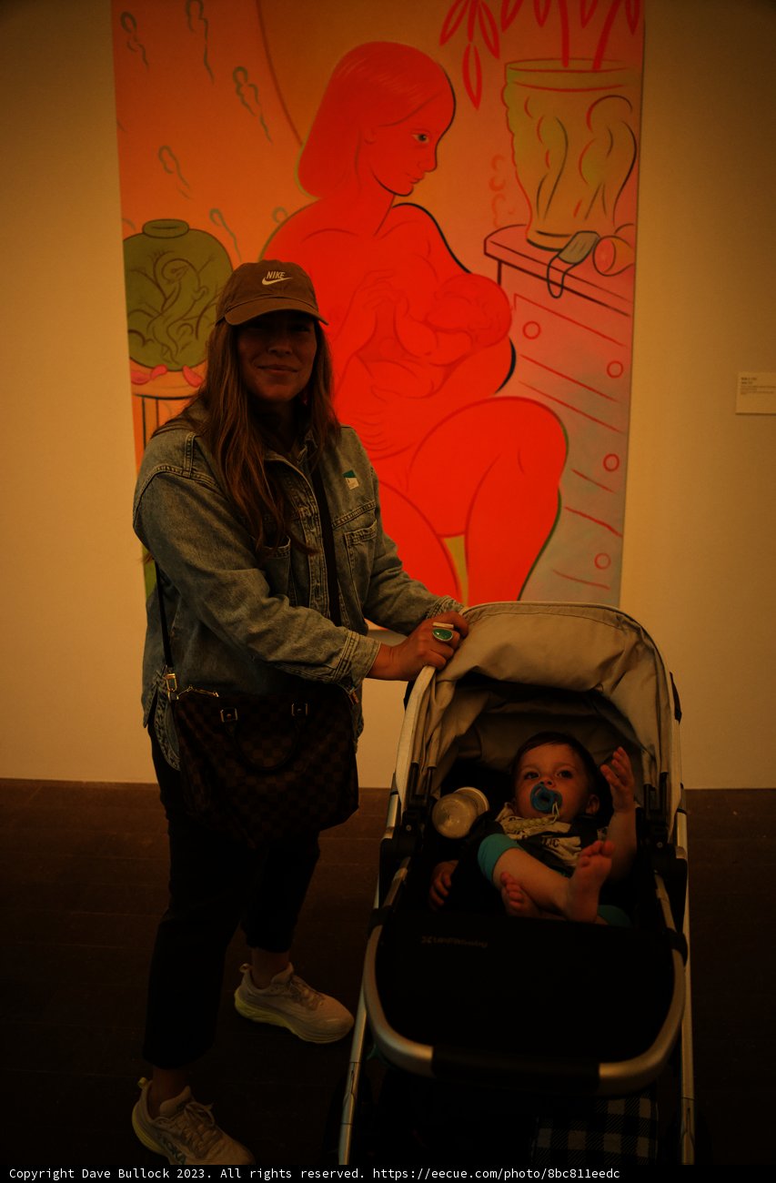 Maternal Moments at de Young Museum, 2023