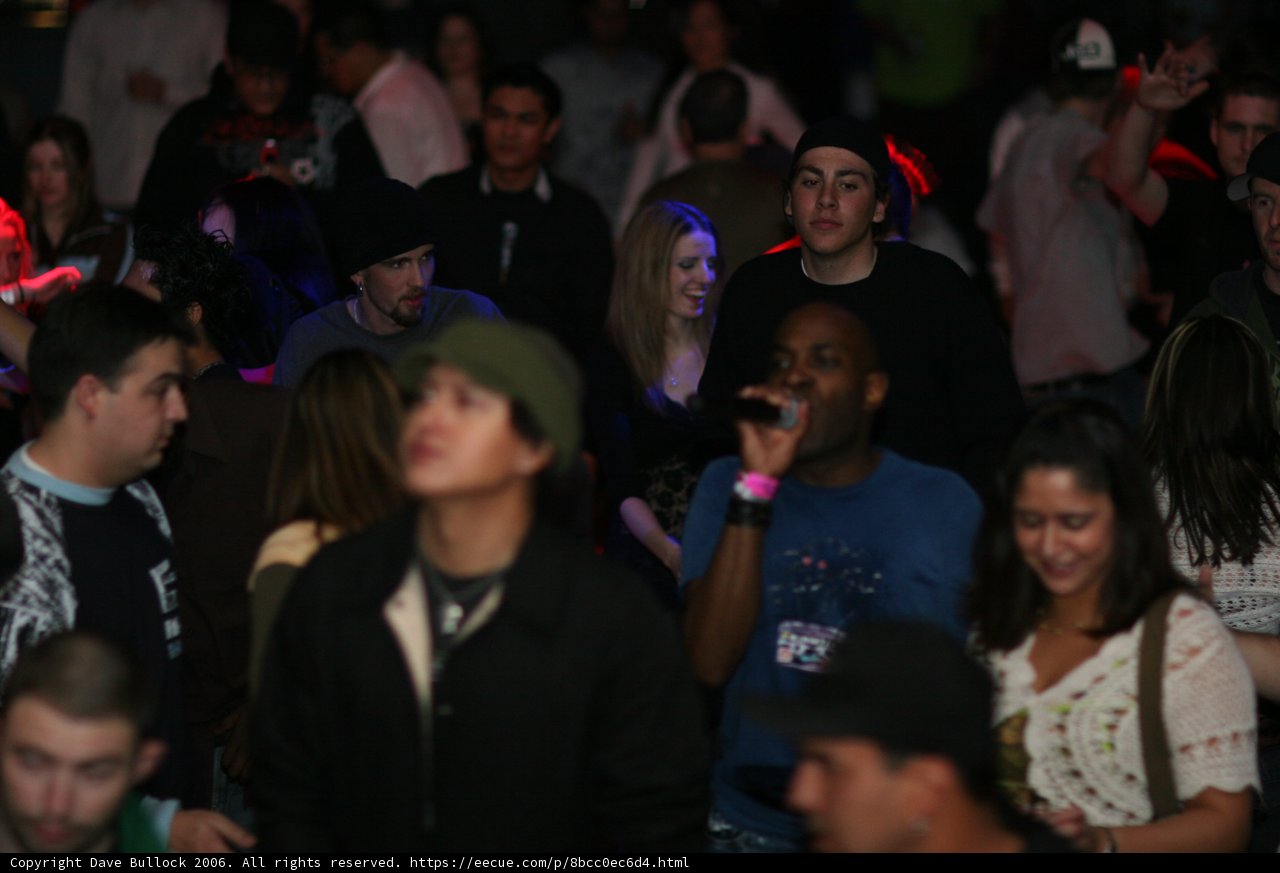 Partygoers Grooving to the Beat