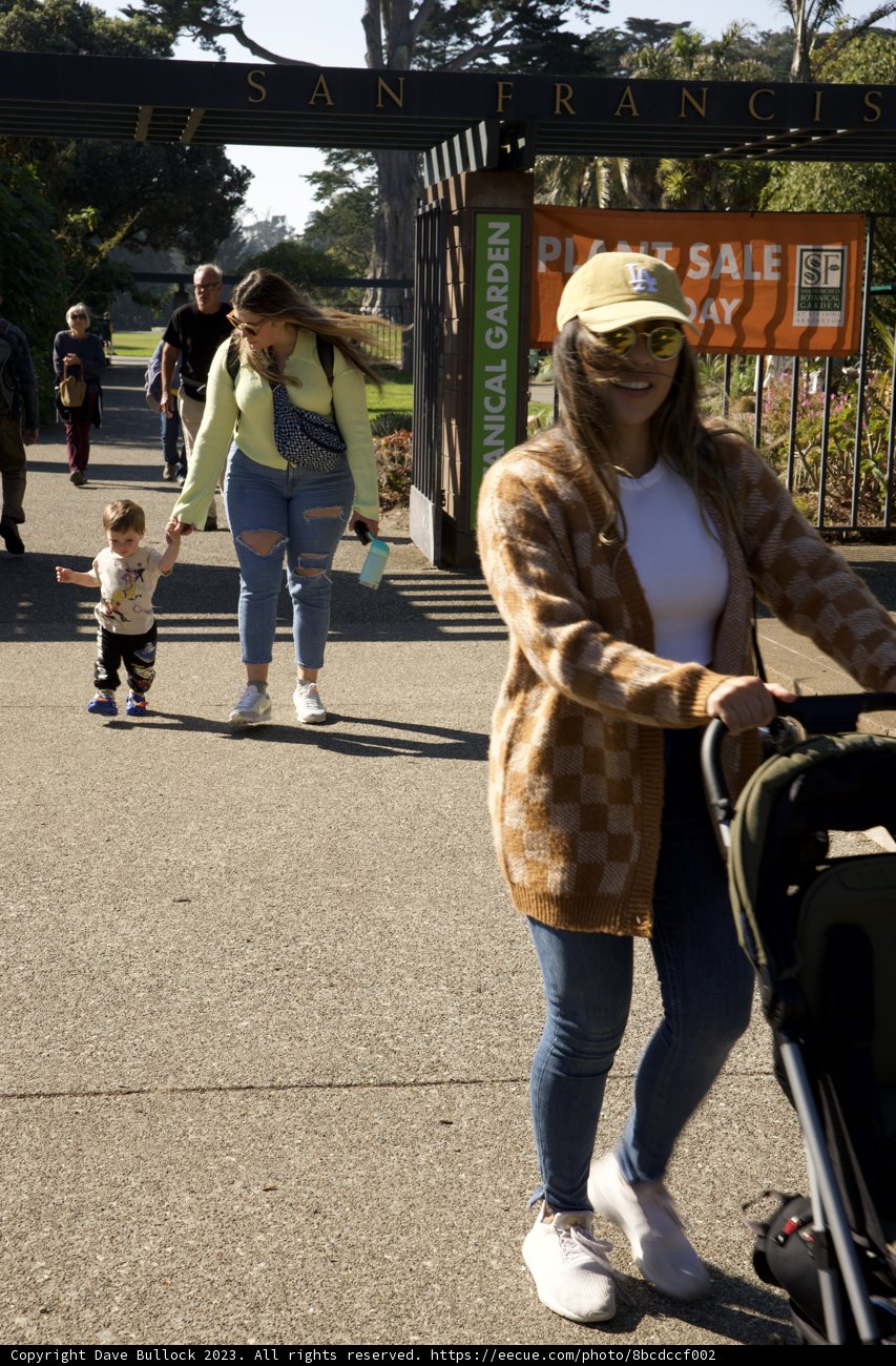 Strolling through Beauty: A Day at San Francisco Botanical Garden