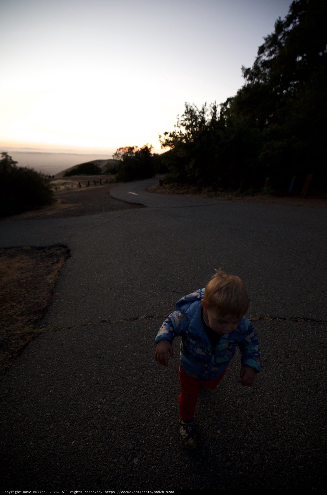 Toddler Adventurer Explores Mount Diablo at Dusk