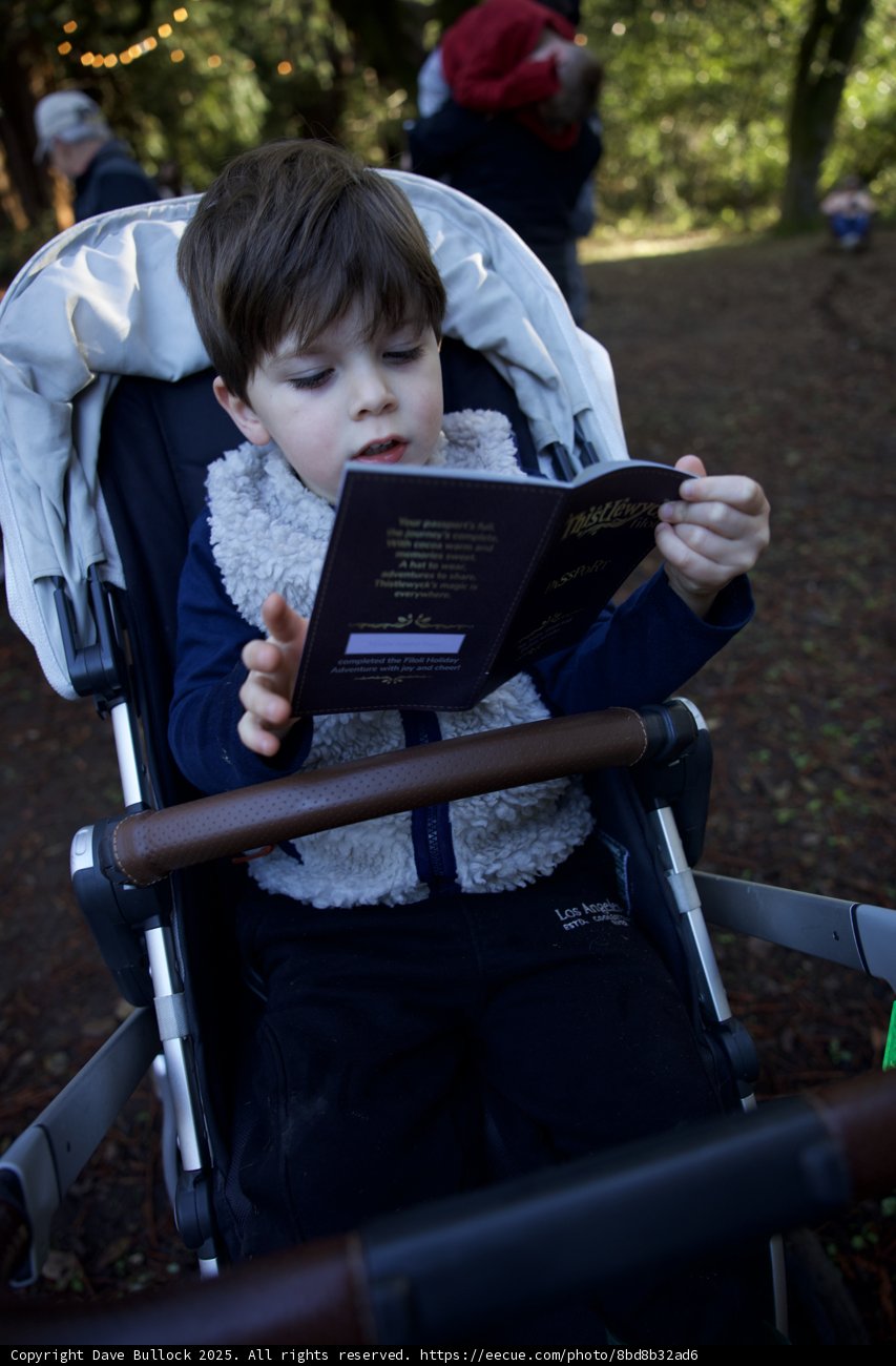 Curious Minds at Thistlewyck