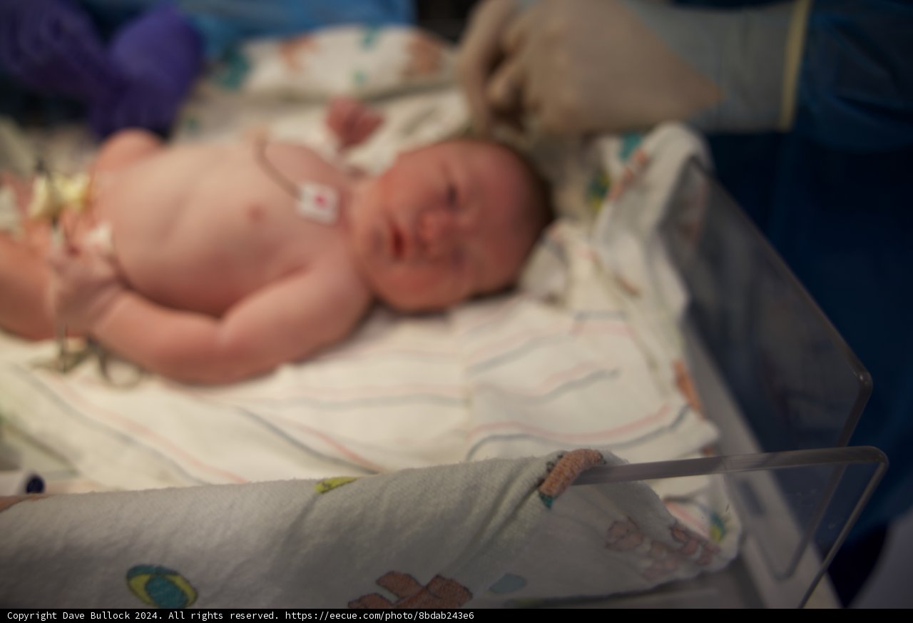 Welcome to the World, Leland