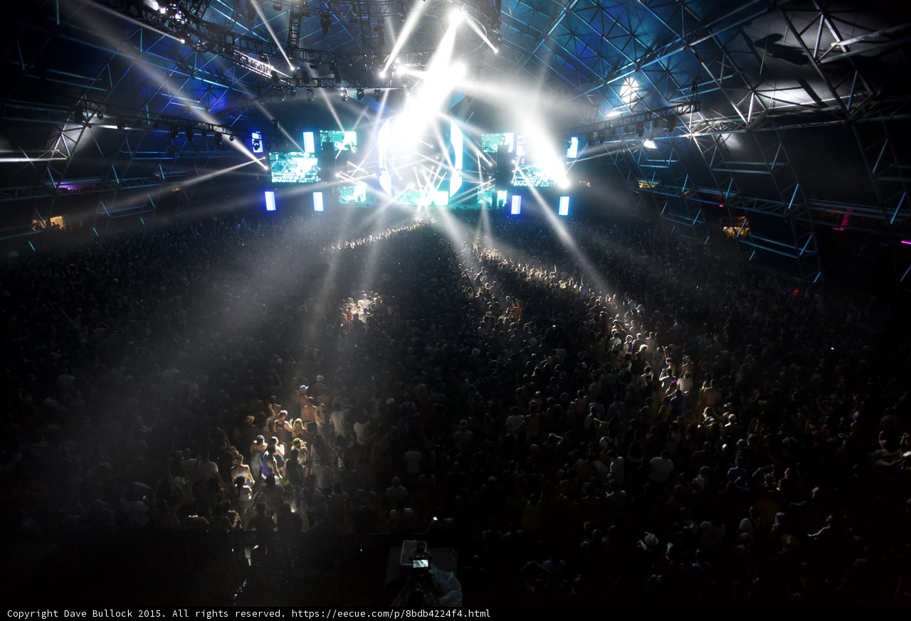 Spotlight on the Crowd