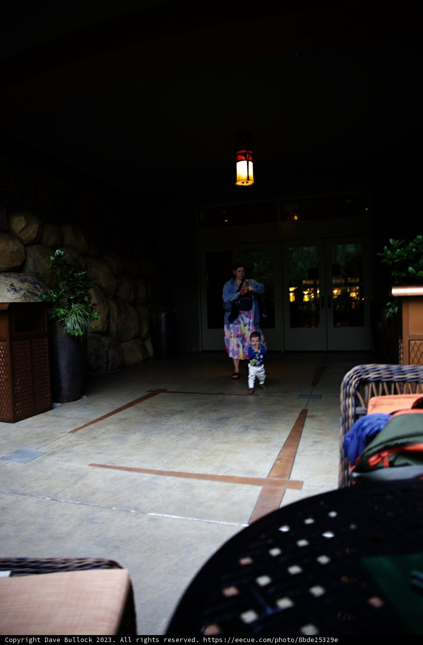 Skateboarding Adventures at Disneyland