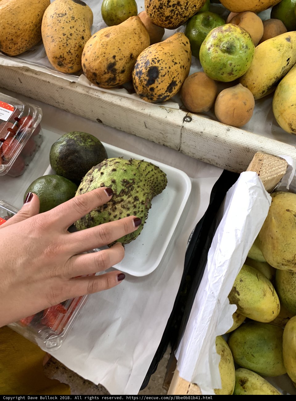 Fruitful Touch