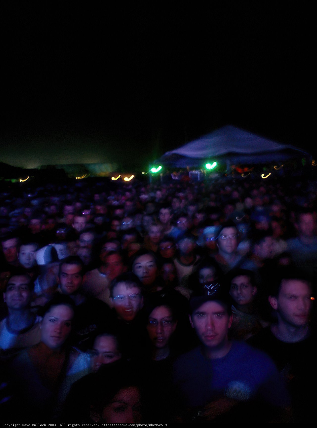 The Electric Crowd at Coachella