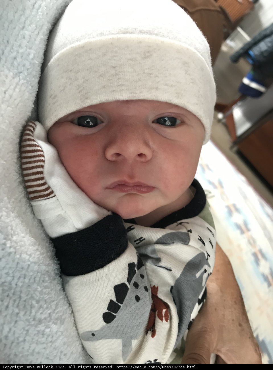 Little One's Beanie Adventure
