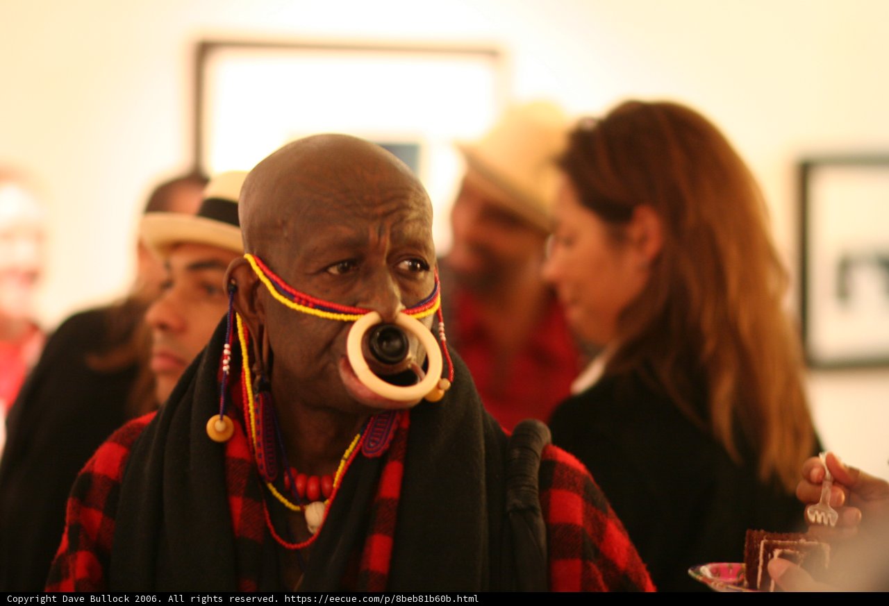The Coolest Nose Ring in Town