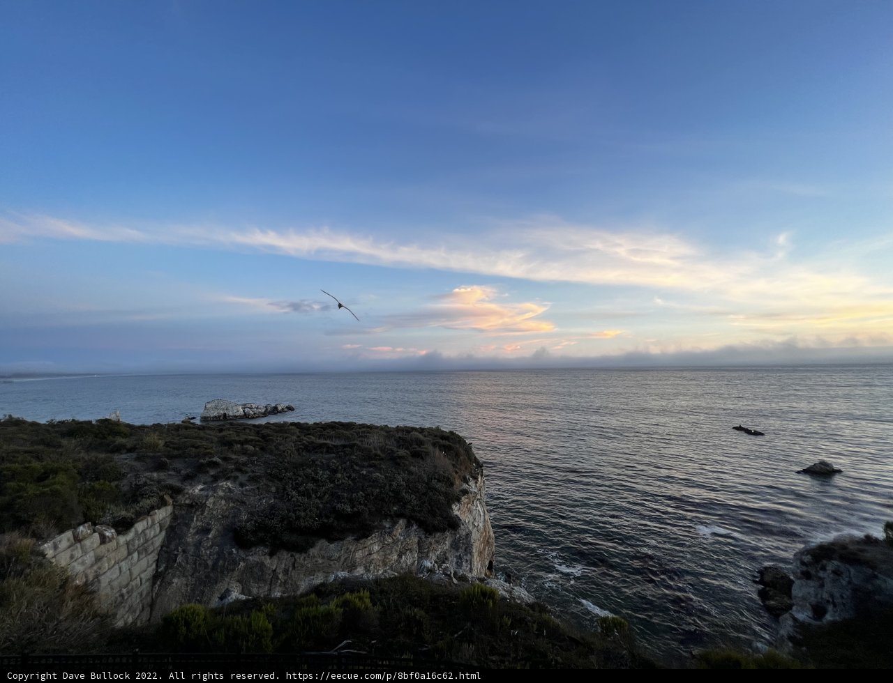 Flight over the Sunset Sea