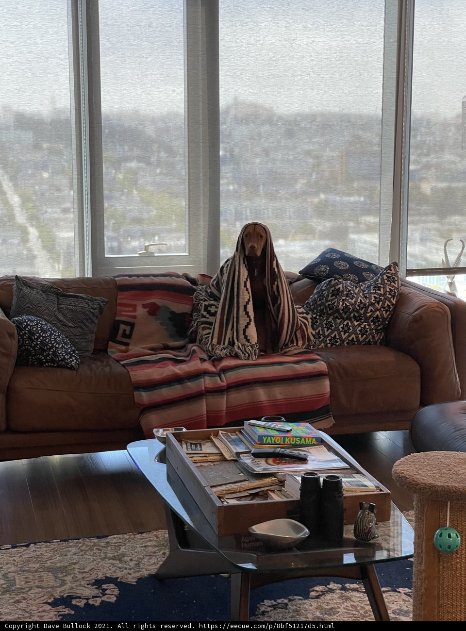 Homey Brown Couch
