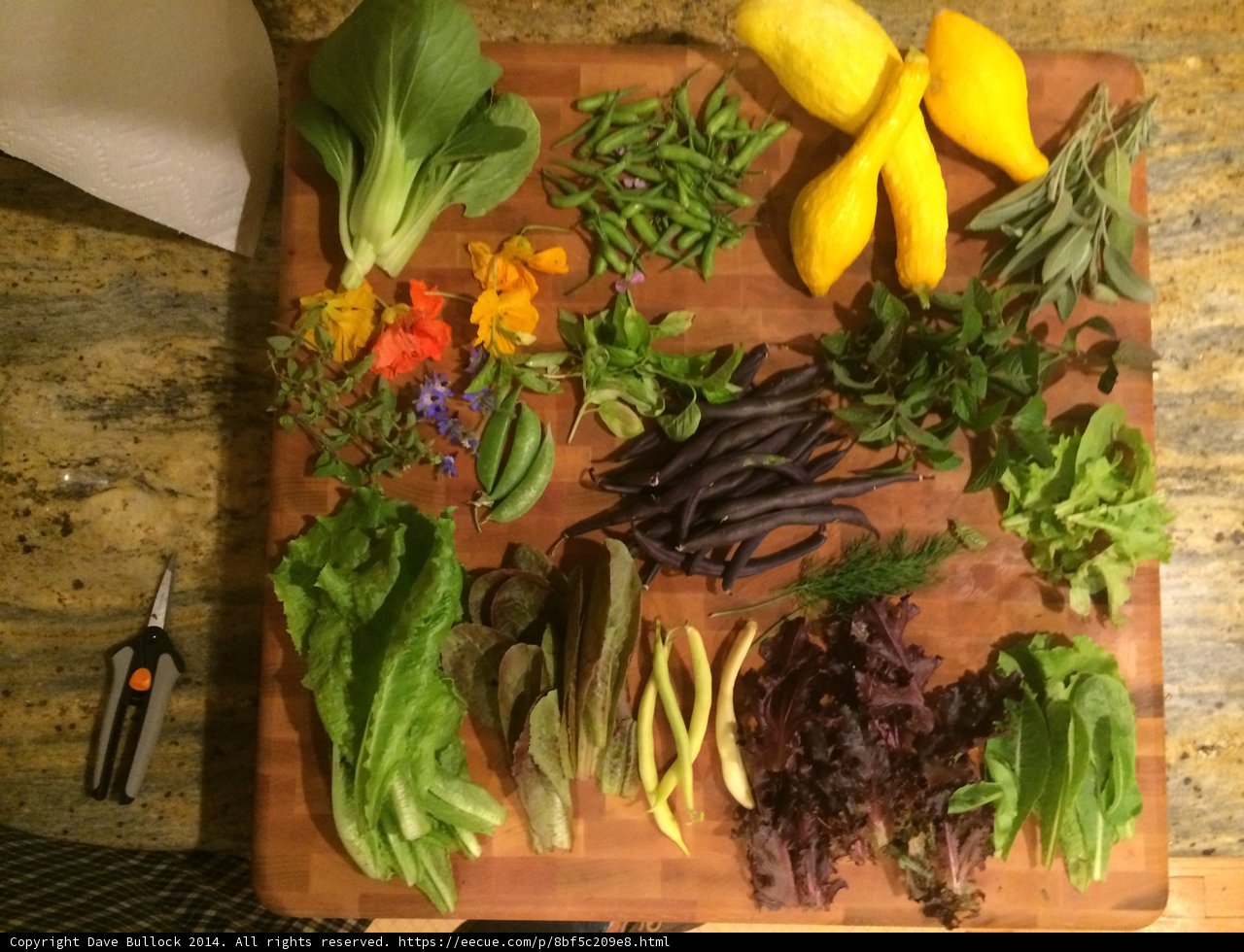 Freshly Chopped Vegetables and Herbs