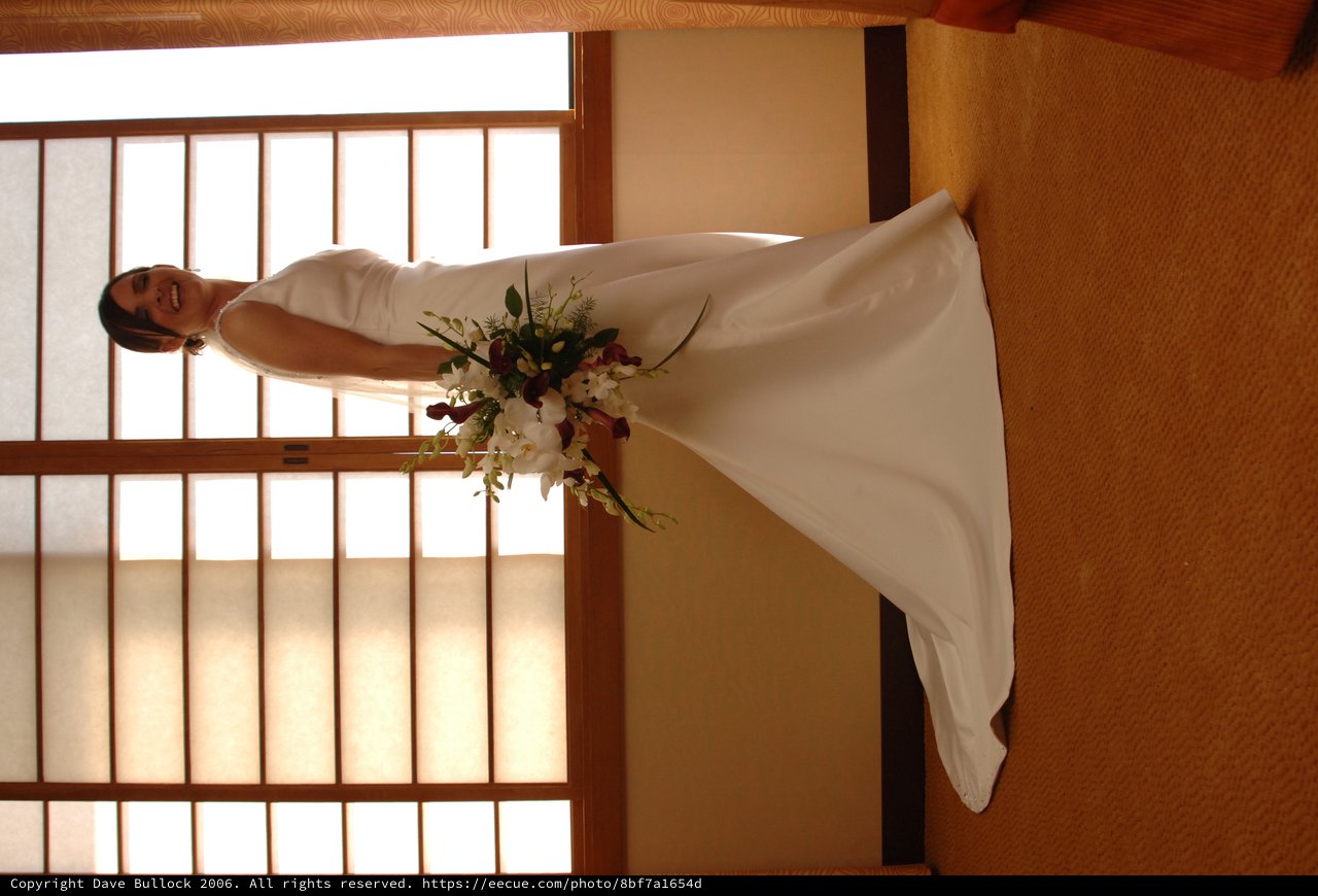 Radiant Bride Poses in Elegant Wedding Gown
