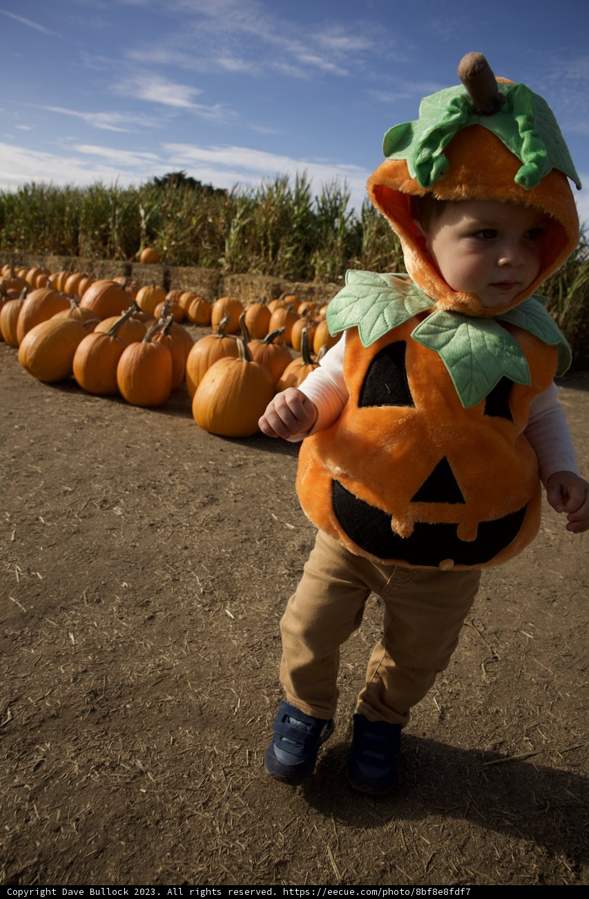 Harvest Euphoria: Wesley's First Pumpkin Patch Visit