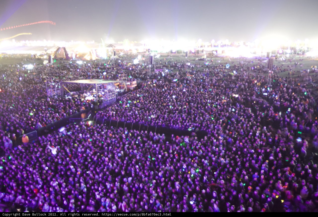 Festival Frenzy