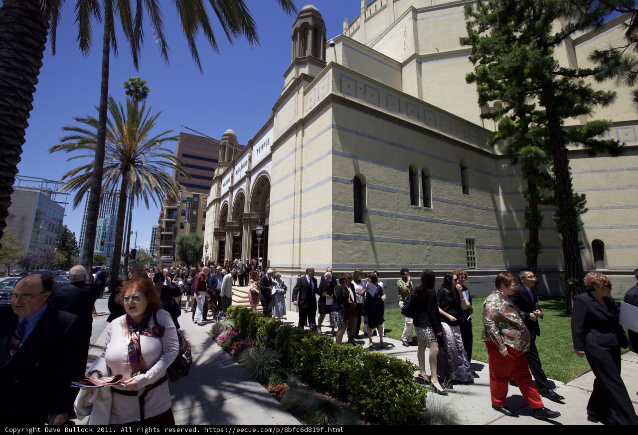 A Sea of Humanity on a Sunny Day