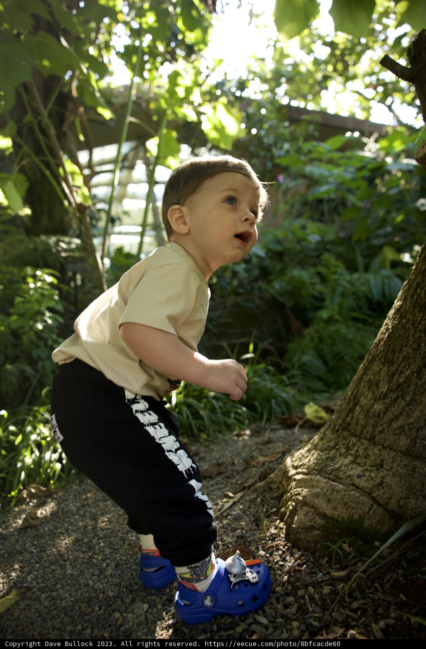 Standing Tall on Nature's Podium