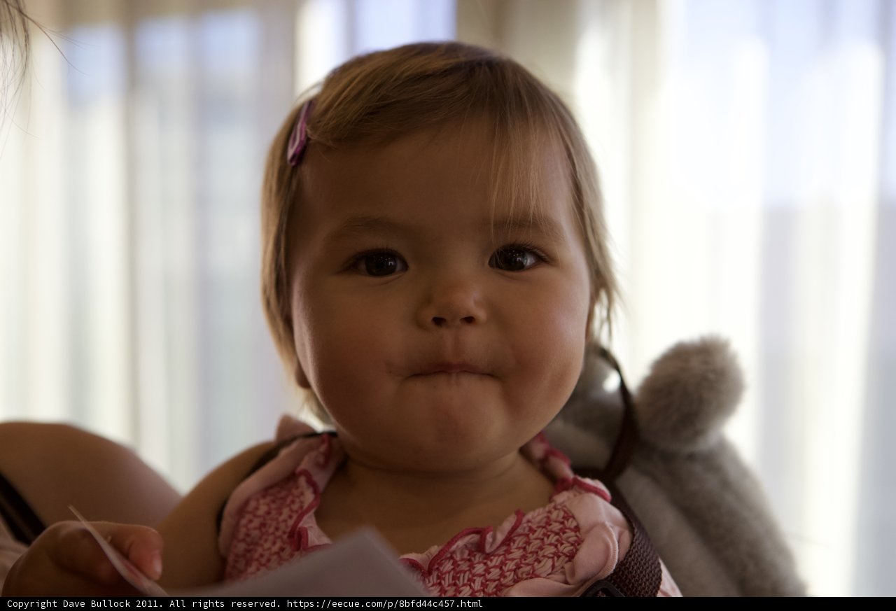 Little Lady in Pink