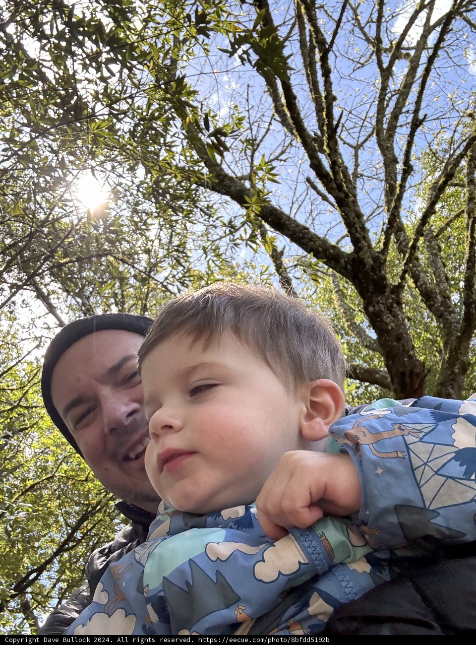 Sunlit Smiles in Nature