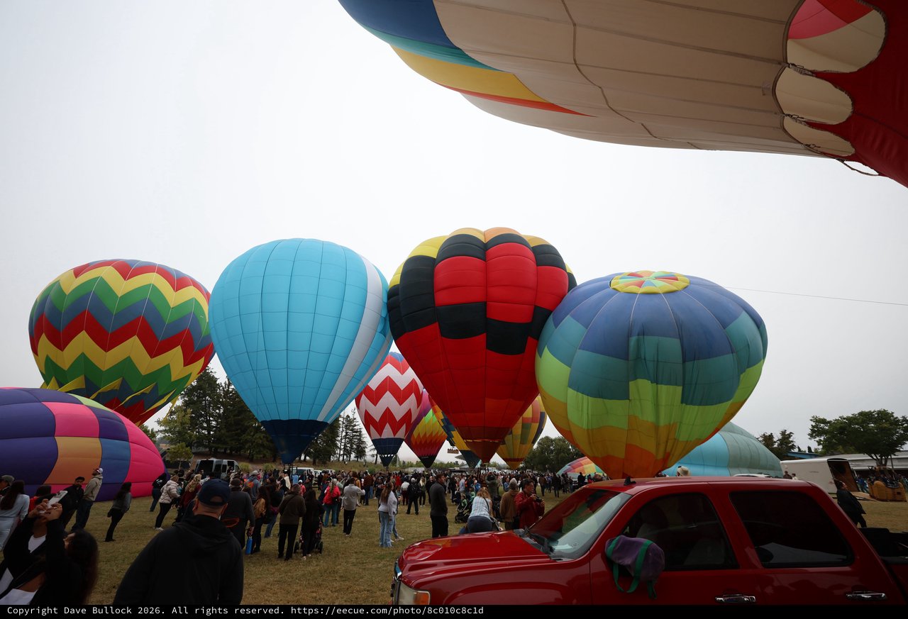 Colorful Hot Air Balloons Fill the Festival Sky