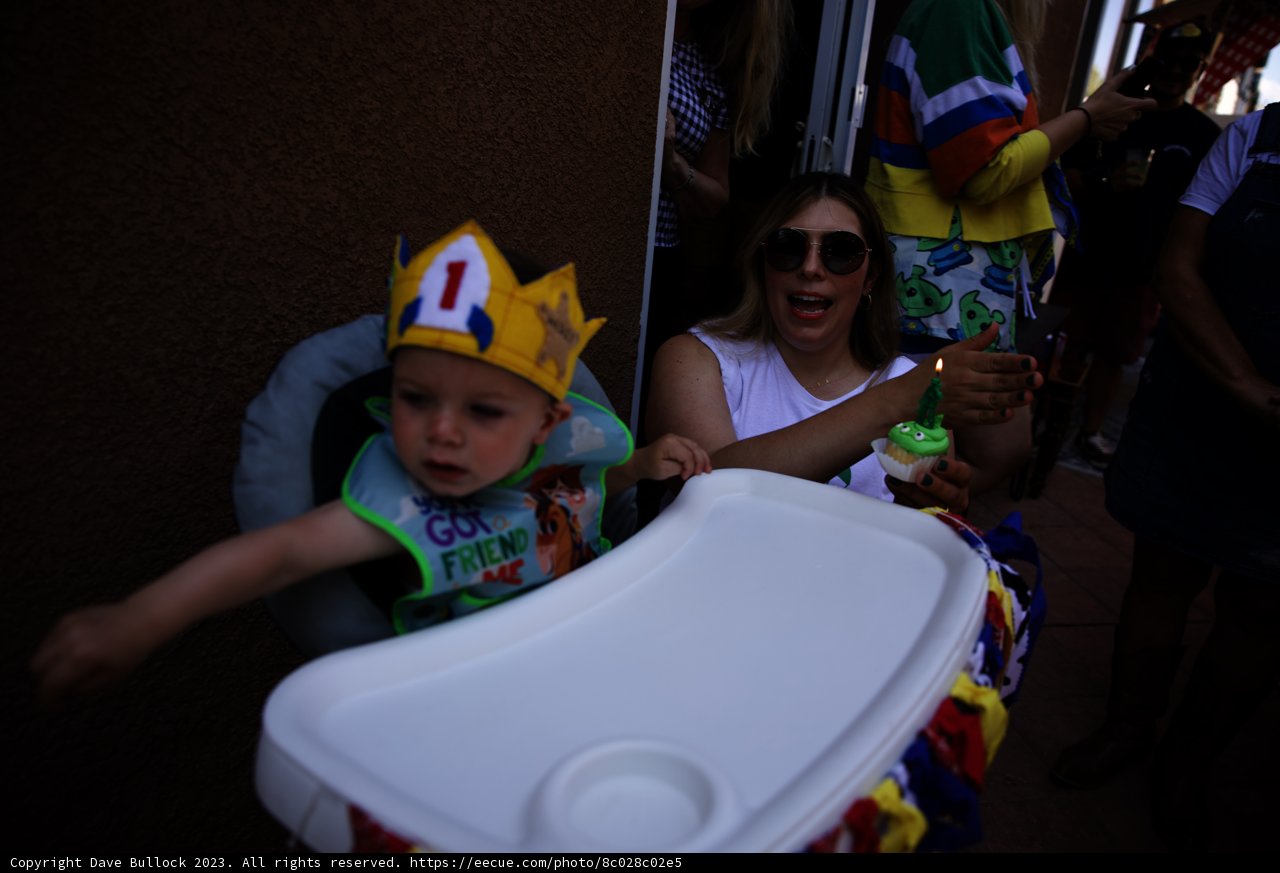 Royal Celebrations: Wesley's First Birthday Bash