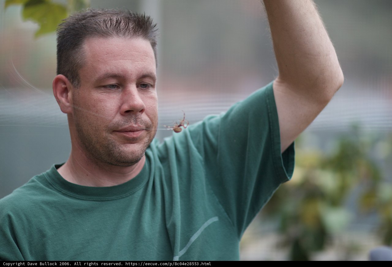 Man bravely holds spider