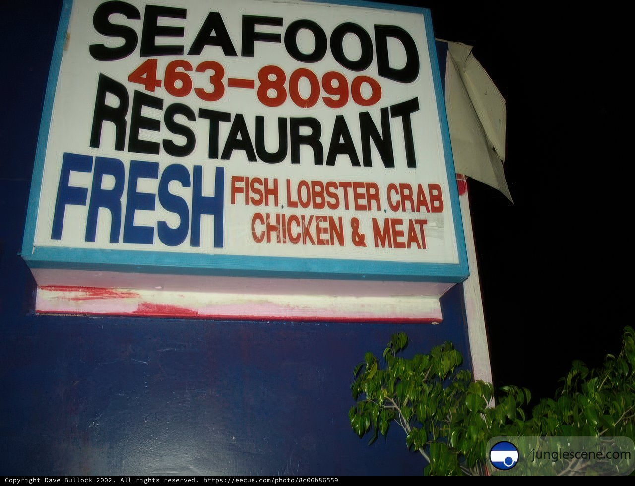 Fresh Seafood Delight