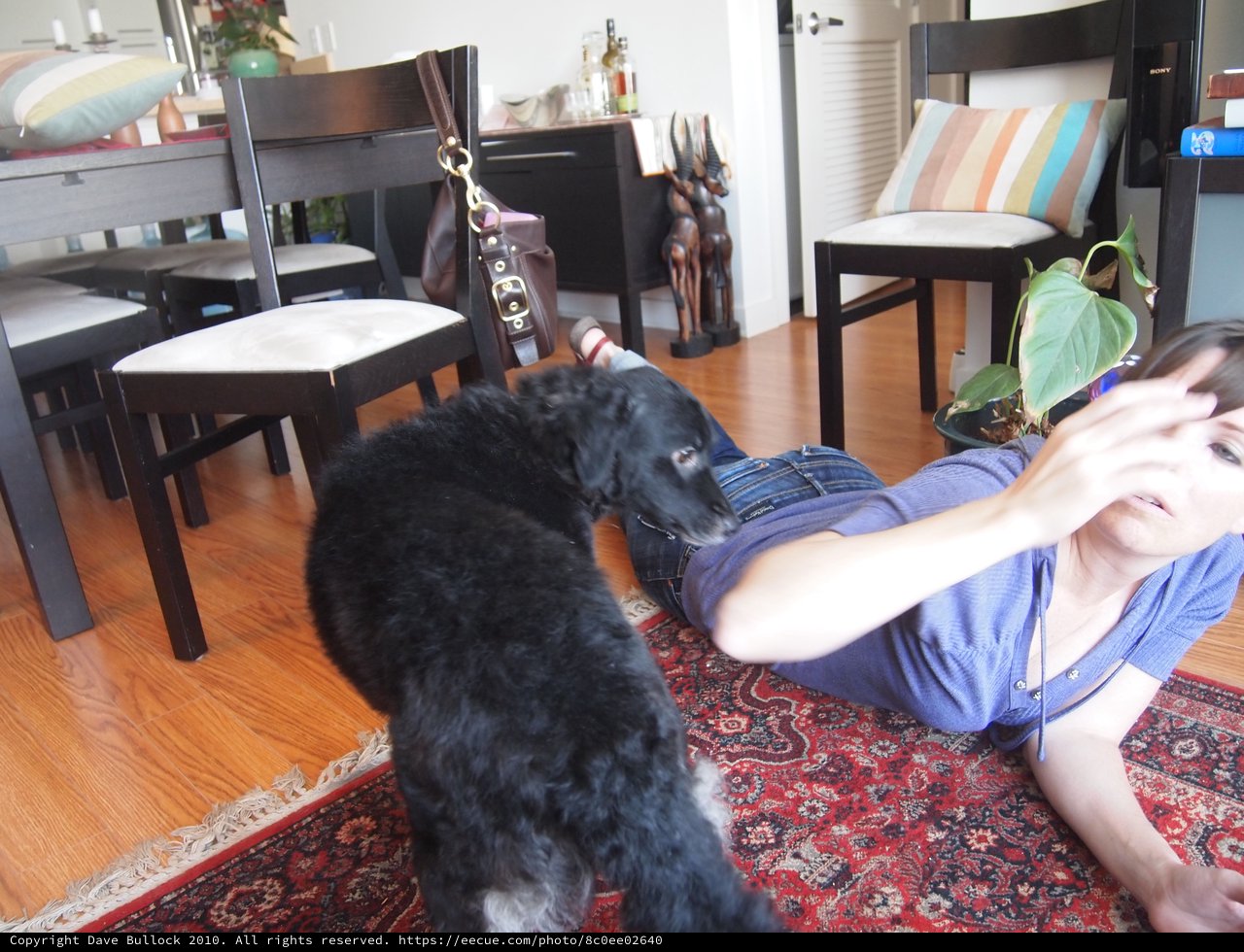 Woman Playing with Dog on Living Room Floor