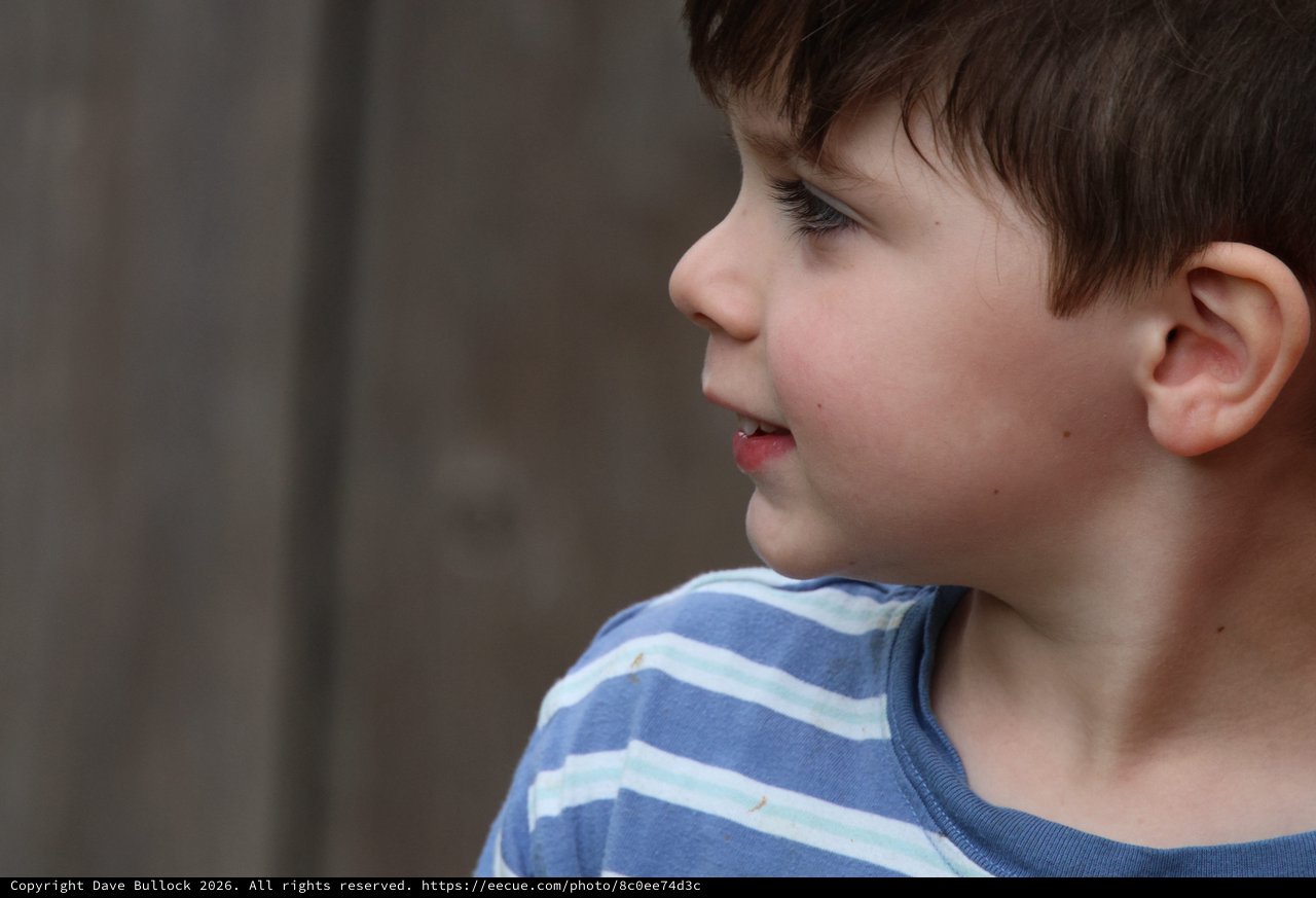 Young Boy's Profile in Blue Striped Shirt