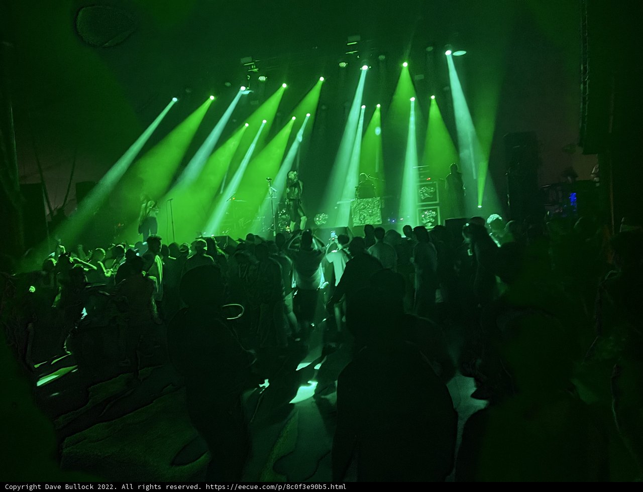 Urban Nightlife Rock Concert