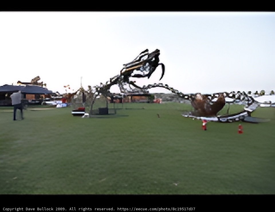 Dragon in the Park