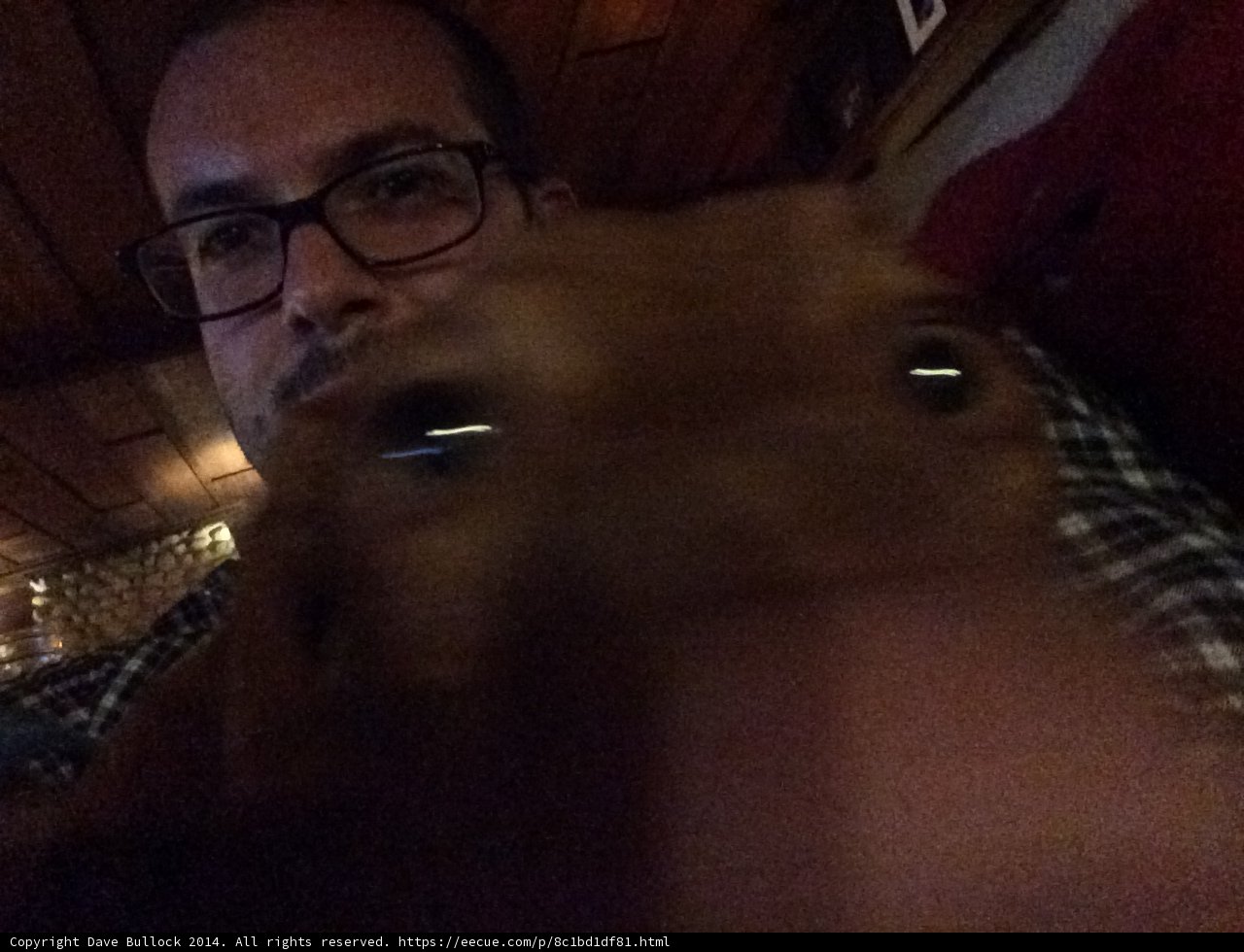 Dave and His Furry Companion