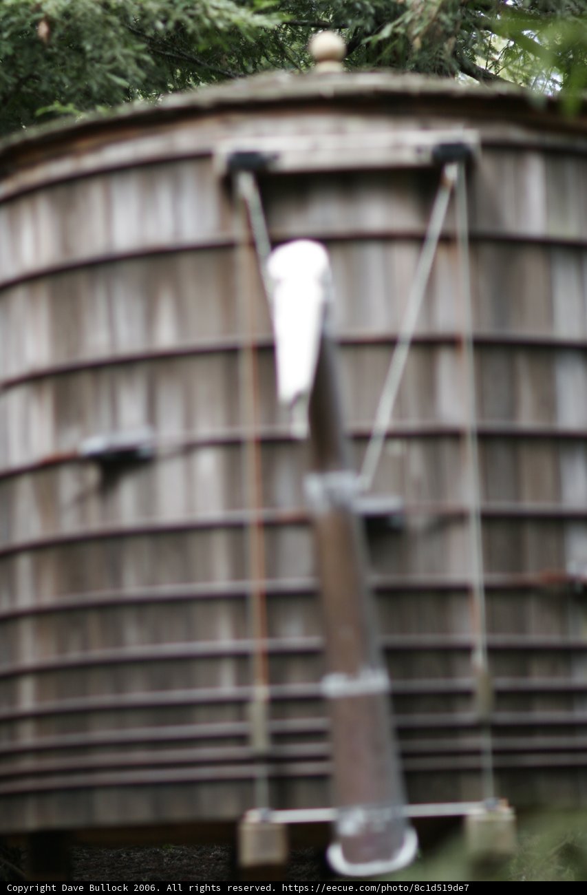 Serene Bird atop Architectural Marvel