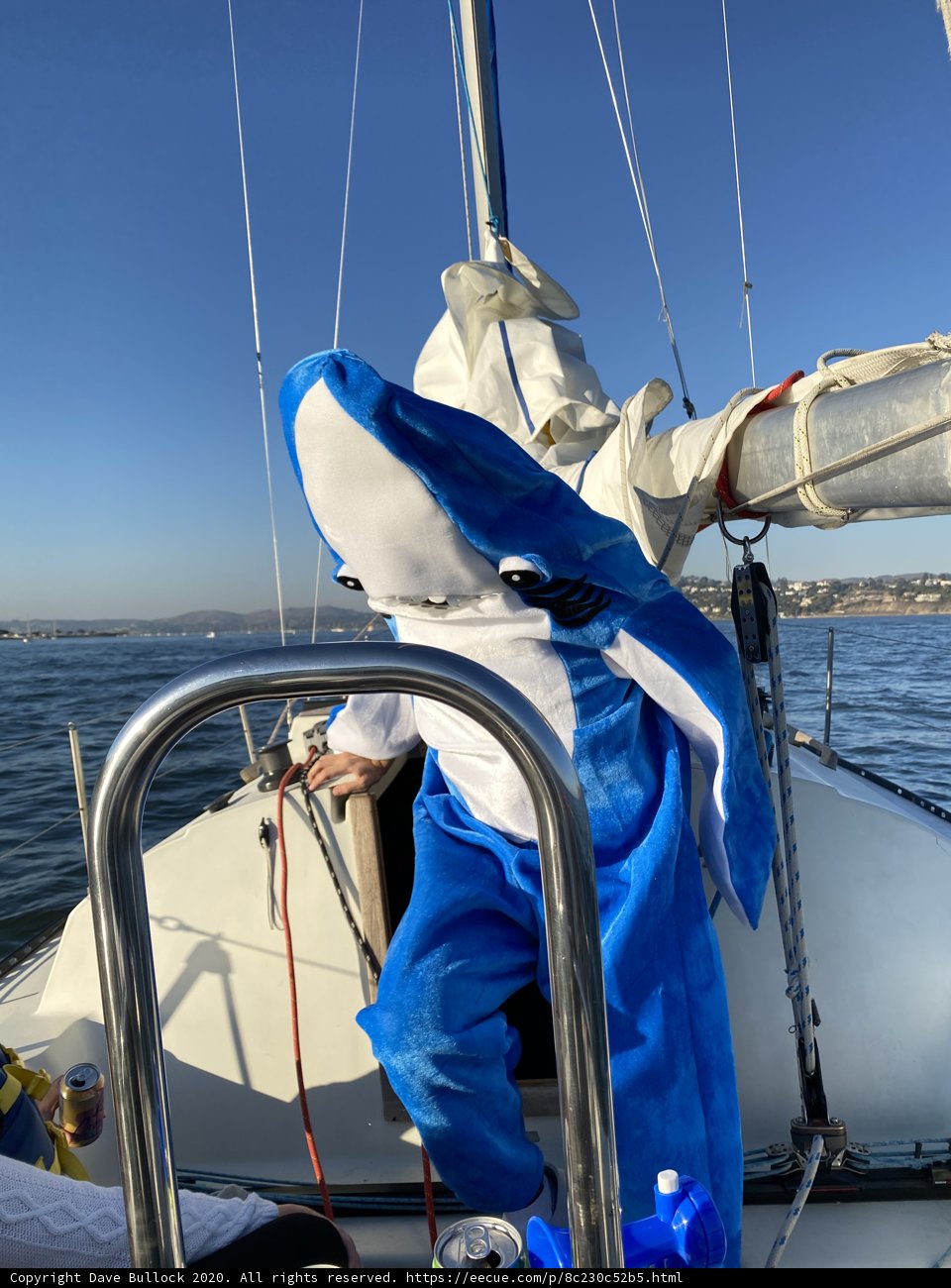 The Shark on the Boat