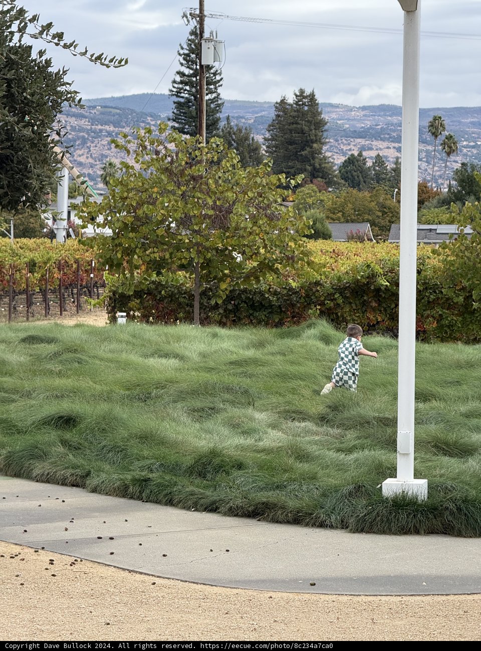 Running Through the Green