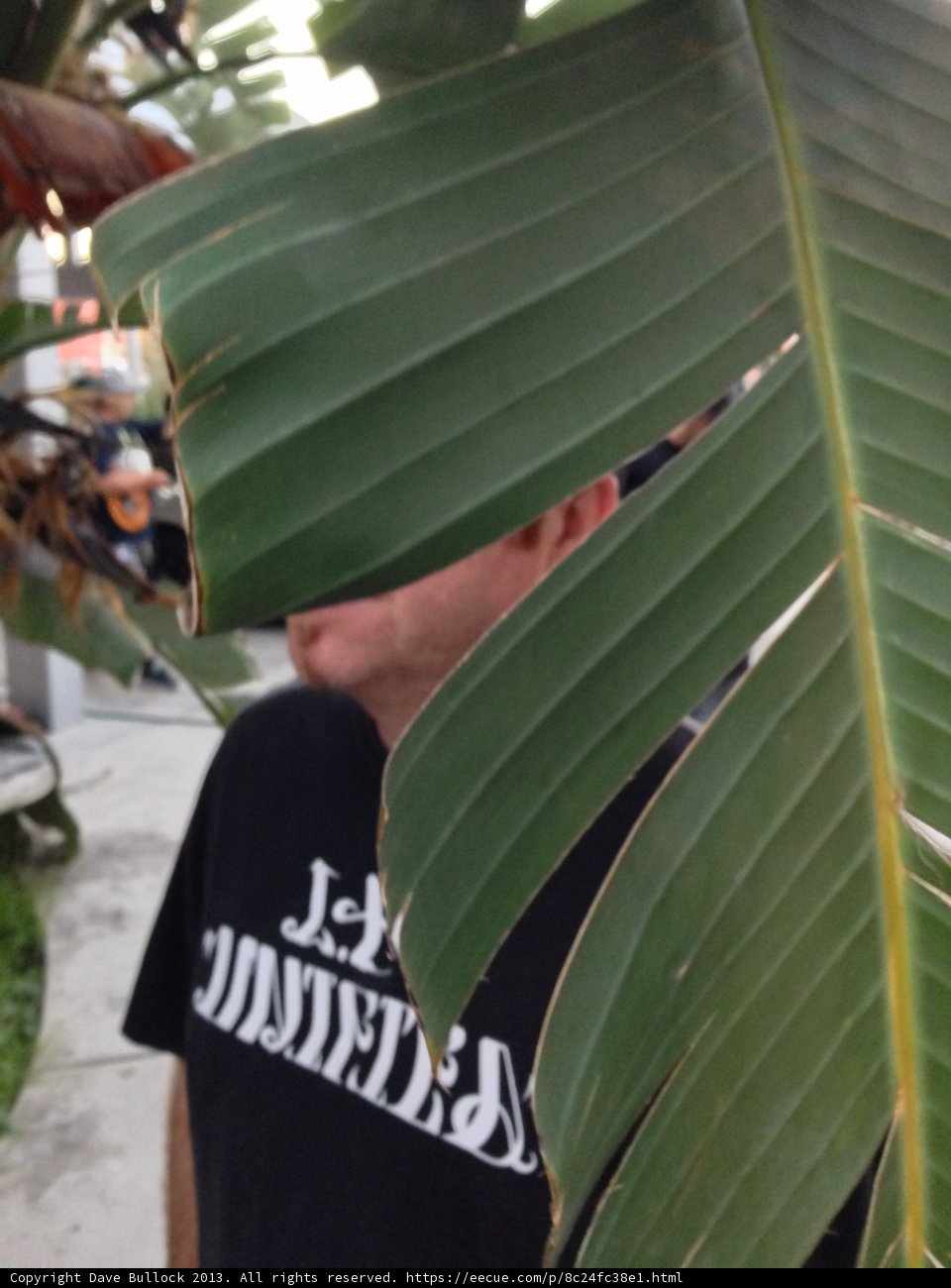 Peek-a-boo from behind the foliage