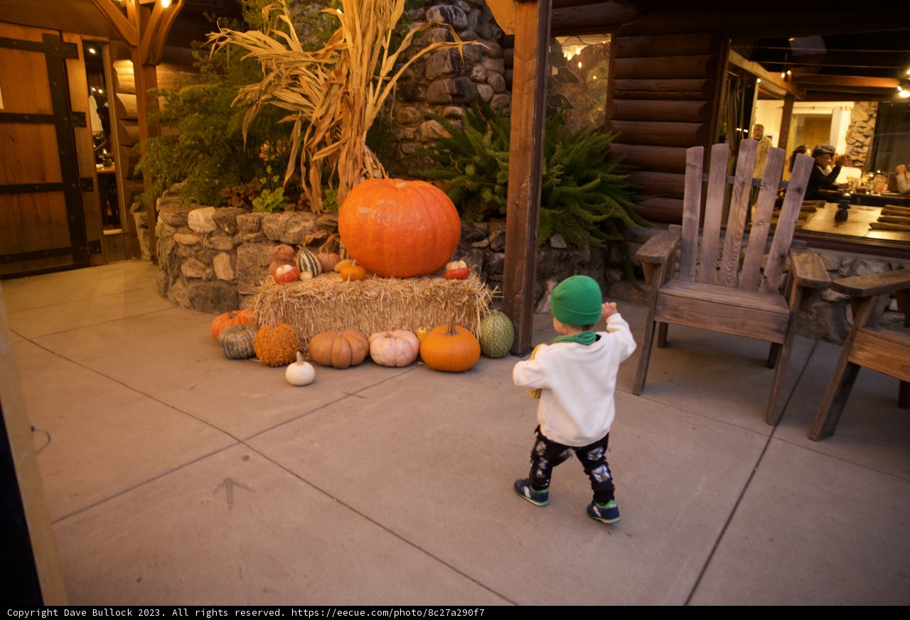 Wesley's Pumpkin Pursuit in Big Sur