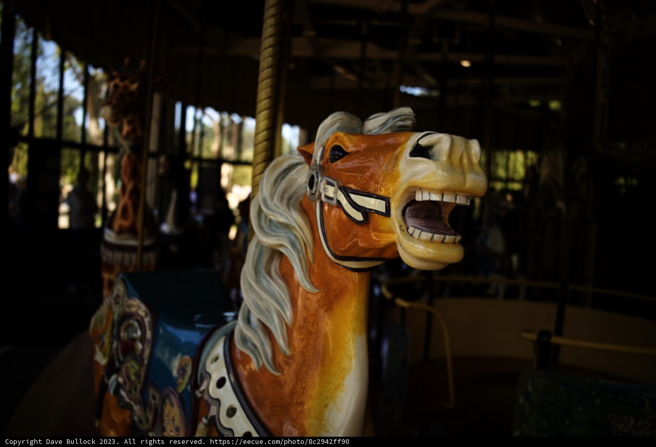 Carousel Steed in Full Glory