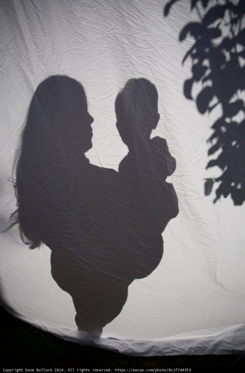 A Silhouette Emergence
