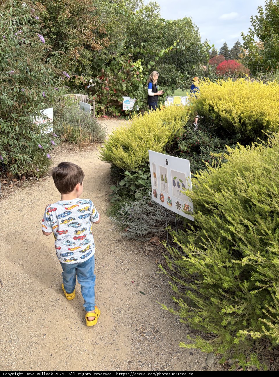 Strolling Through Nature's Classroom